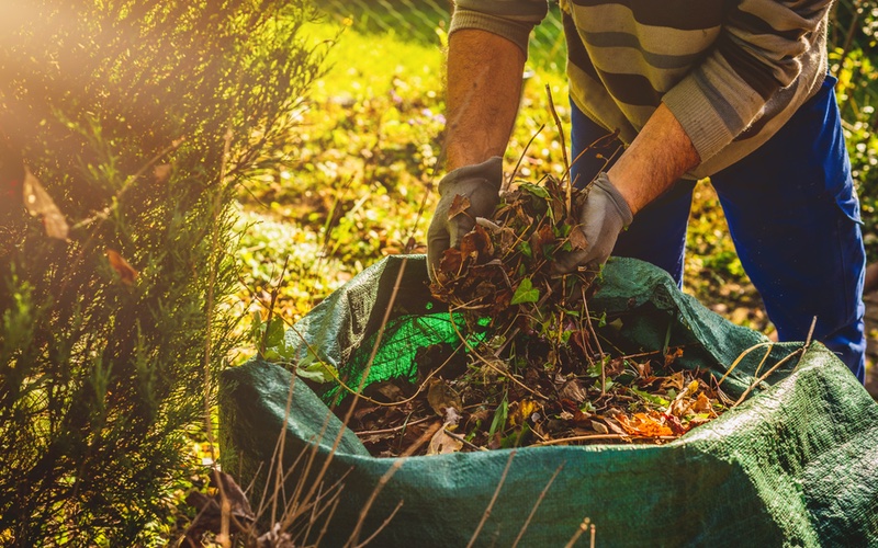 An image of a homeowner cleaning up their yard debris - learn how Dumpster Dudez can simplify the process with our yard waste removal in Indianapolis, IN!