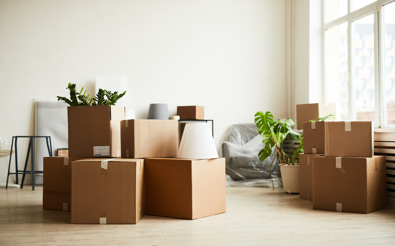 
		The interior of foreclosure cluttered with boxes - contact Dumpster Dudez today to rent a dumpster for foreclosure cleanouts in Knoxville, TN.
	